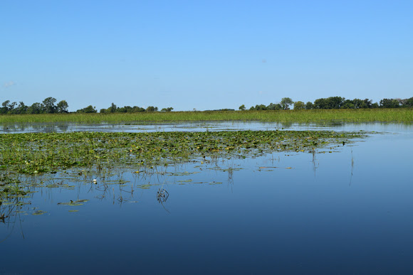 This natural wetland in north central Iowa is unlike anywhere else.  | Iowa DNR